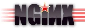 "Nginx Server"
